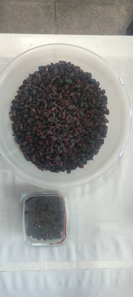 عکس محصول تولیدی