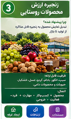 زنجیره ارزش محصولات روستایی