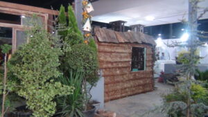 DSC00803